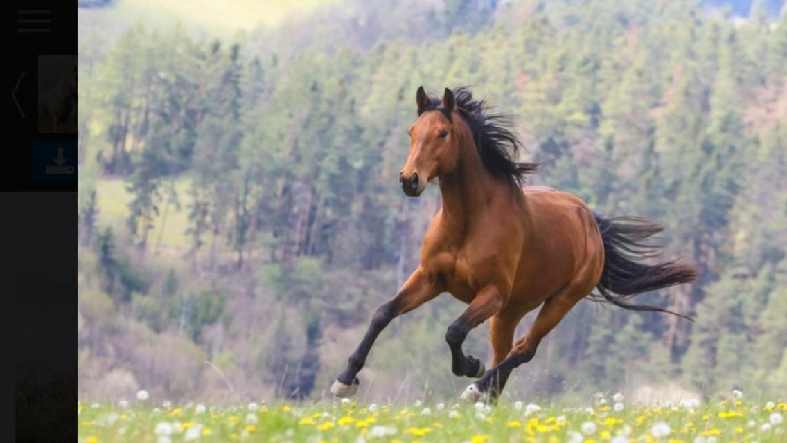 Statek Stranovice Διαμέρισμα Malenitz Εξωτερικό φωτογραφία